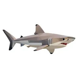 Hammerhead shark