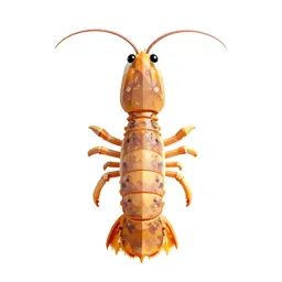 Mantis shrimp