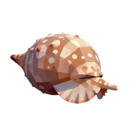 Nautilus