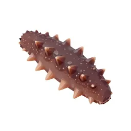 Sea cucumber