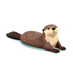 Sea otter floating
