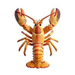 Spiny lobster