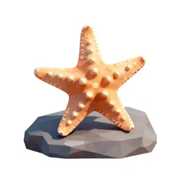 Starfish on rock
