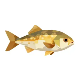 Sunfish