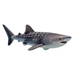 Whale shark with remoras