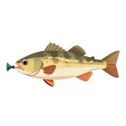 Anglerfish with a lure