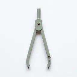 Pair of compasses