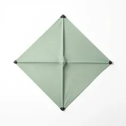 Kite