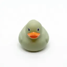 Rubber duck