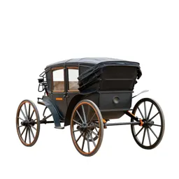 Horse-drawn carriage