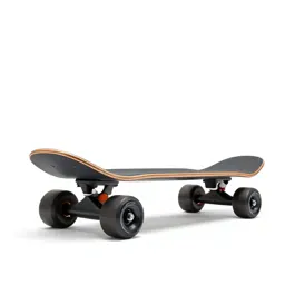 Electric skateboard