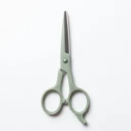 Pair of grooming scissors