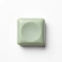 Shampoo bar
