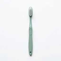 Toothbrush in a holder