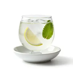 Gin and tonic with botanicals