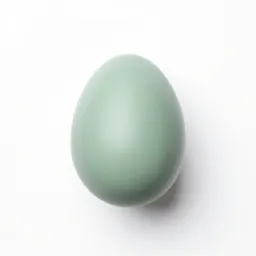 Easter egg painted