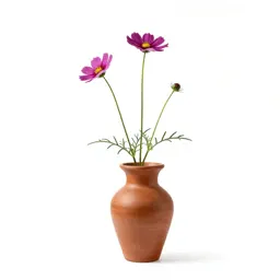 Cosmos flower