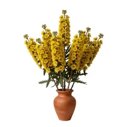 Kowhai flower cluster