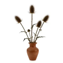 Thistle head