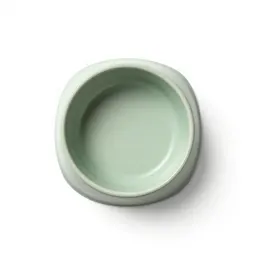 Ceramic dog bowl