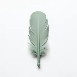 Feather wand toy