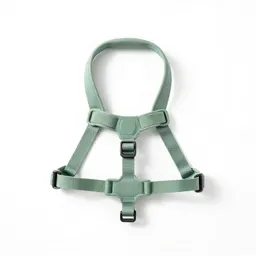 Harness with a handle