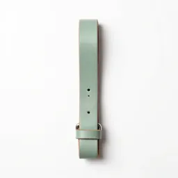 Leather dog lead