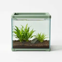 Aquarium with a planted substrate