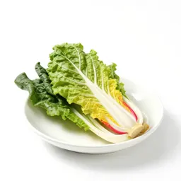 Bunch of rainbow chard
