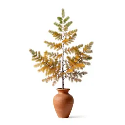 Larch in autumn