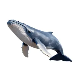 Baleen whale