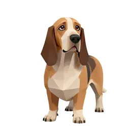 Basset
