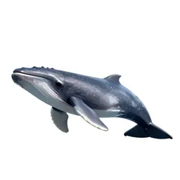 Beaked whale