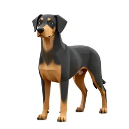 Black-and-tan coonhound