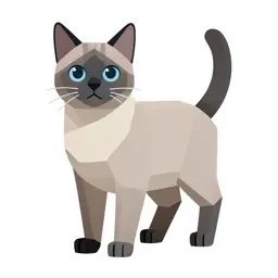 Blue point Siamese