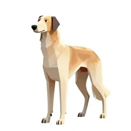 Borzoi