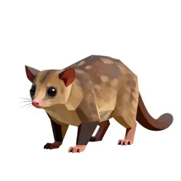 Brush-tailed phalanger