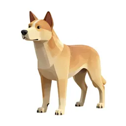Canine