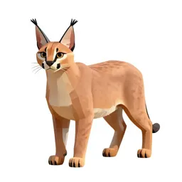 Caracal