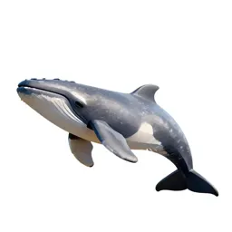 Cetacean