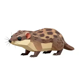 Common shrew