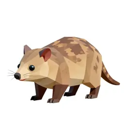 Dasyurid marsupial