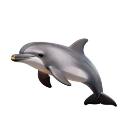 Dolphin