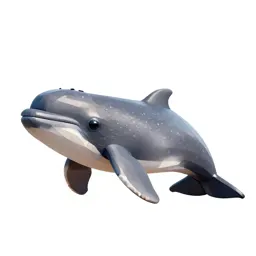 Dwarf sperm whale