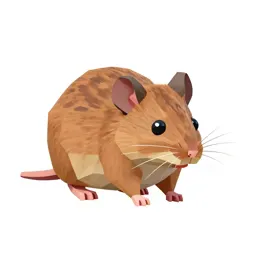 Field mouse