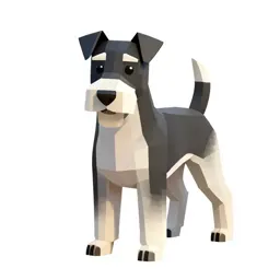 Fox terrier