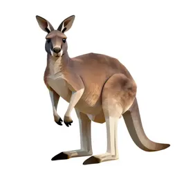 Giant kangaroo