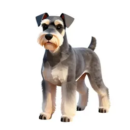 Giant schnauzer
