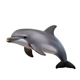Grampus