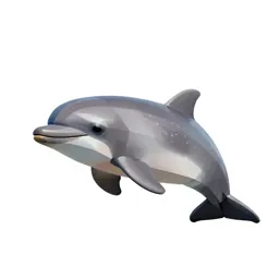 Harbor porpoise